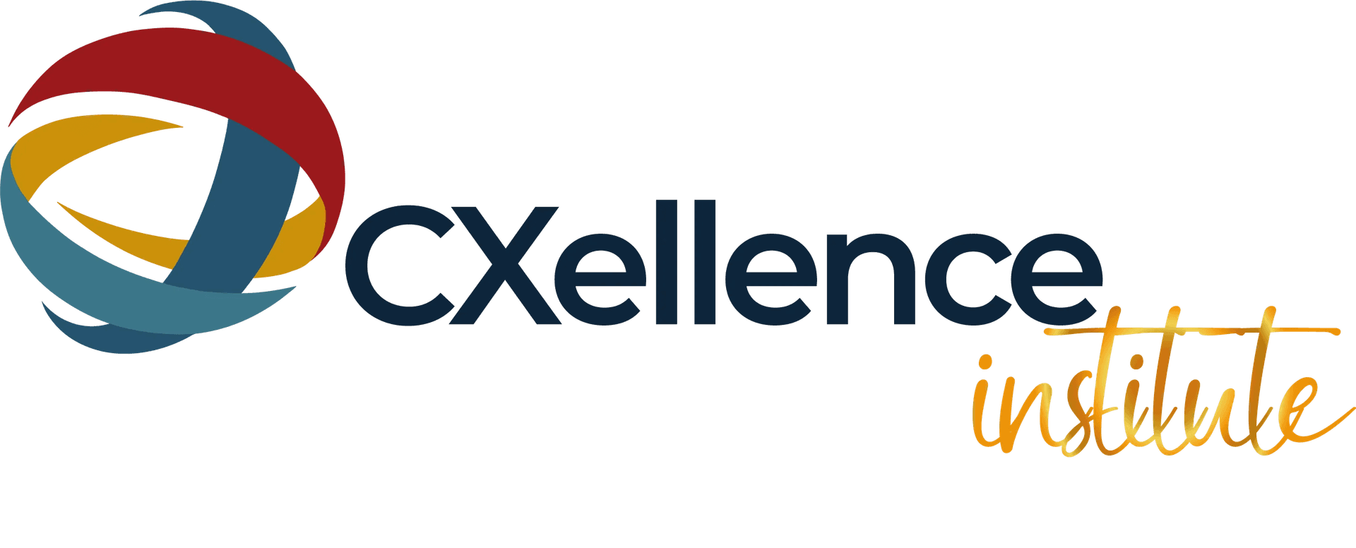 CXellence Institute Logo