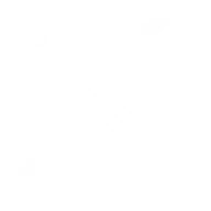 Aseguramiento Icon