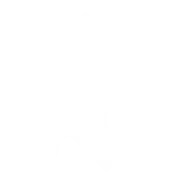 Watermark Puzzle